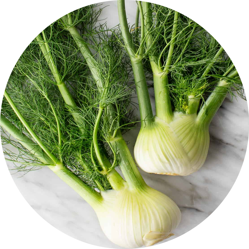 Fennel: Alleviates bloating and gas, promoting a comfortable digestive experience.